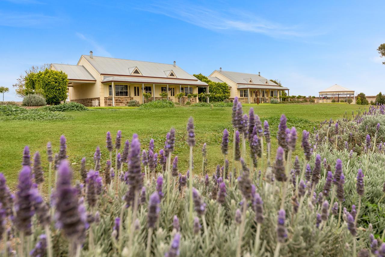 Barossa Vineyard Cottages Tanunda Exterior foto